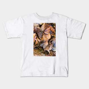 Colorful Autumn leaves Kids T-Shirt